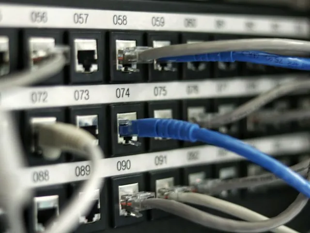 Cloud backups